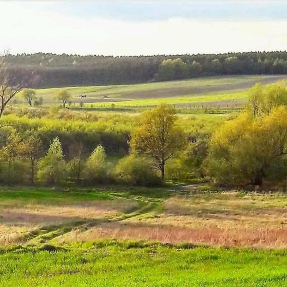 Gospodarstwo Zaborski Sad Kültér fotó